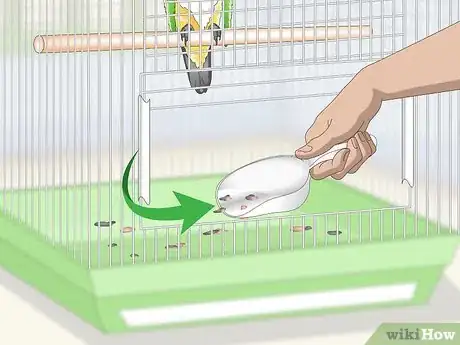 Image titled Clean a Caique Parrot Cage Step 5