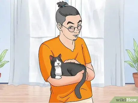 Image titled Identify and Help Feral and Stray Cats Step 15