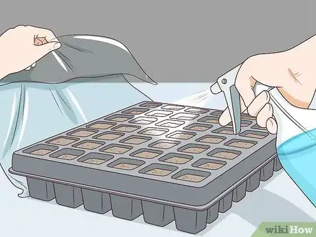 Image titled Plant Angel Trumpet Seeds Step 13