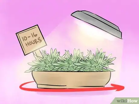 Image titled Grow Herbs Indoors Under Lights Step 8