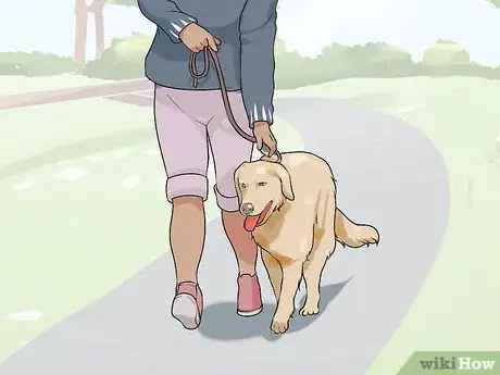 Image titled Have a Successful First Day with a New Dog Step 9