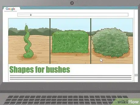 Image titled Grow a Topiary Step 7