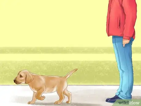 Image titled Bring Up a Loyal Dog Step 7