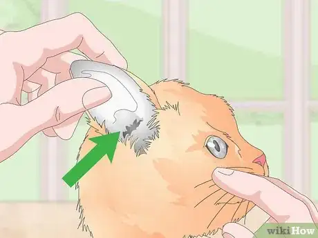Image titled Keep Your Cat Clean Step 14