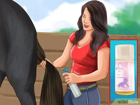 Image titled Keep a Horse Clean on a Budget Step 3