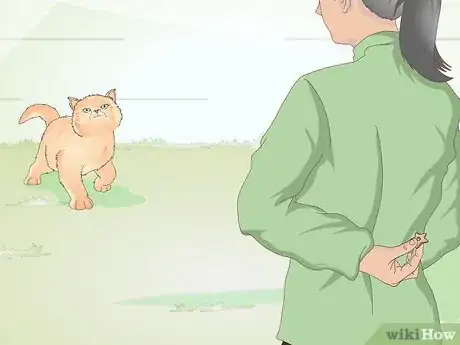 Image titled Stop a Cat from Licking Stuffed Animals and Blankets Step 5