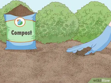 Image titled Grow Runner Beans Step 8