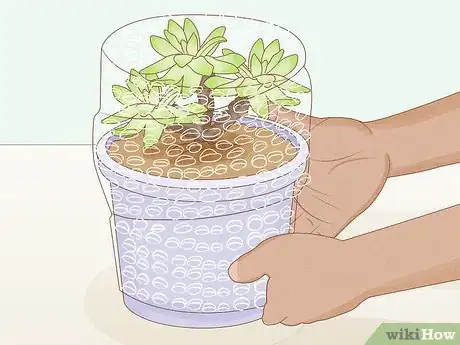 Image titled Cover Plants in the Winter Step 9