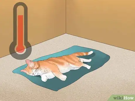 Image titled Diagnose a Cat Cough Step 20