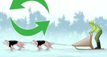 Get Started Dog Mushing