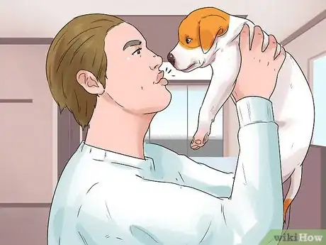 Image titled Get Along with Your Dog Step 15