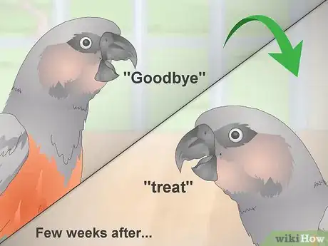 Image titled Teach a Red Bellied Parrot to Speak Step 5