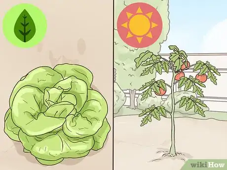 Image titled Grow a Sustainable Garden Step 13