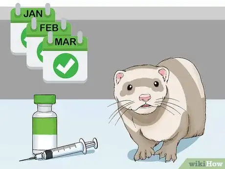 Image titled Get Your Ferret Vaccinated Step 11