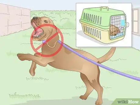 Image titled Keep a Dog Hydrated Step 11