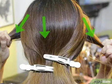 Image titled Do a Hidden Dutch Lace Braid Step 2