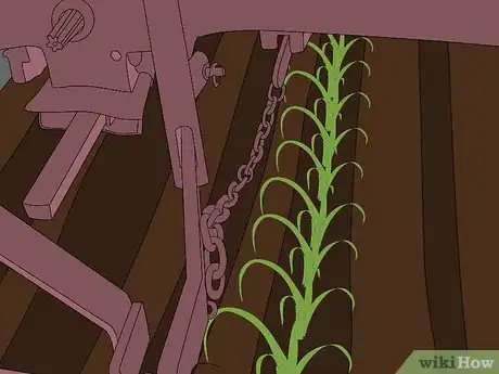 Image titled Plow With Two Row Cultivators Step 7