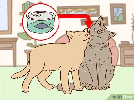 Image titled Referee Two Irritable Cats That Don't Get Along Step 3