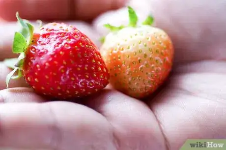 Image titled Choose Fruit Step 13