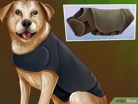 Image titled Deal with Canine Noise Aversion Step 11