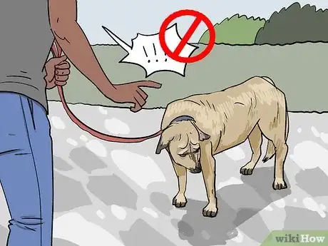 Image titled Teach a Dog to Smile Step 9