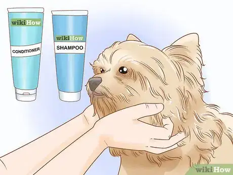 Image titled Groom a Yorkie Pomeranian Mix Step 7