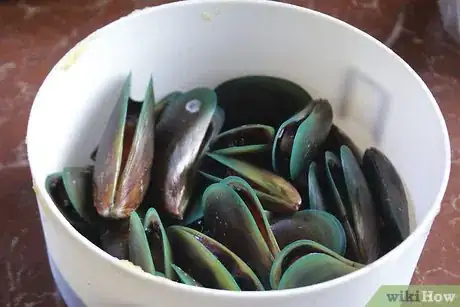 Image titled Store Seafood Step 11