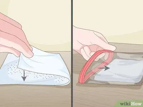 Image titled Grow Rainbow Eucalyptus Step 4