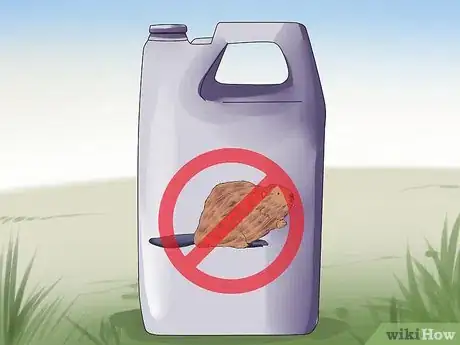Image titled Catch Beavers Step 16