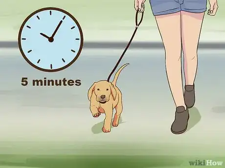 Image titled Introduce a Puppy to a Senior Dog Step 16