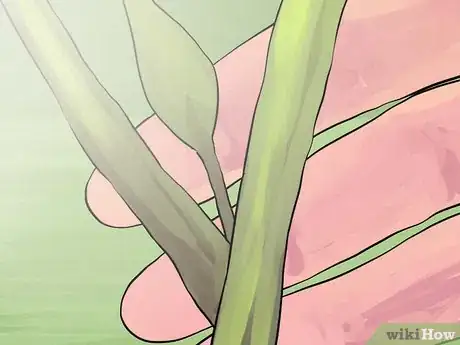 Image titled Prune Spirea Shrubs Step 2