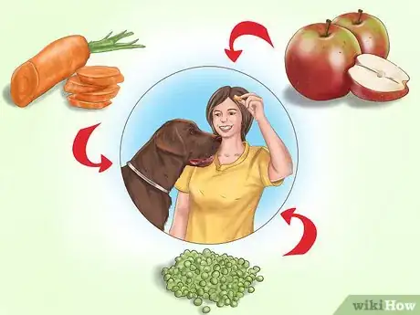 Image titled Keep Your Dog or Cat at Its Correct Weight Step 10