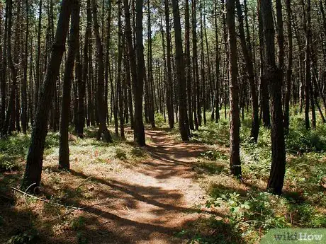 Image titled Compose Your Center of Interest Step 1