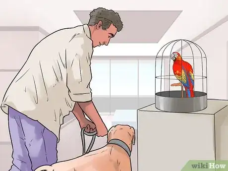 Image titled Dog‐Sit when You Have a Small Pet Step 11