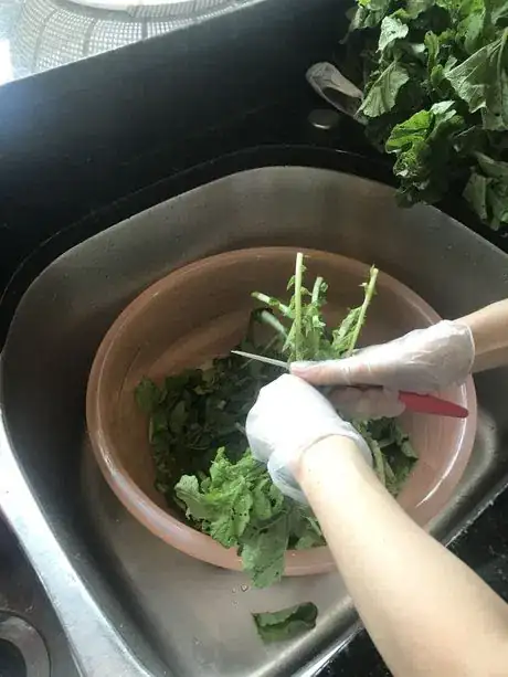 Image titled Cut_radish