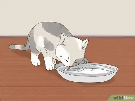 Image titled Choose a Hairball Formula for Your Cat Step 8