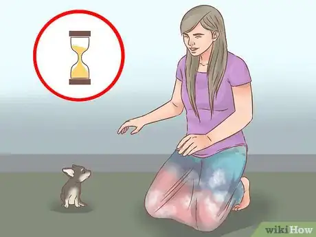 Image titled Choose a Training Program for Your Dog Step 10