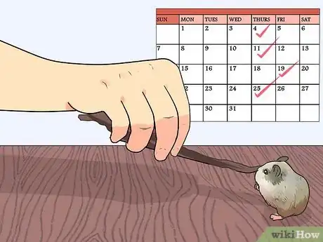 Image titled Feed Dwarf Hamsters Step 5