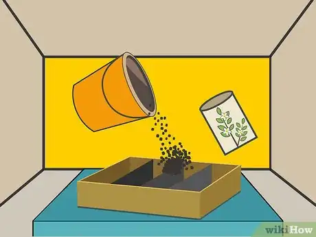 Image titled Plant Night Blooming Jasmine Step 03