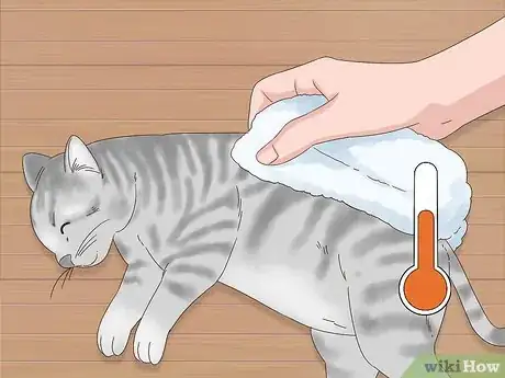 Image titled Diagnose and Treat Frostbite in Cats Step 7