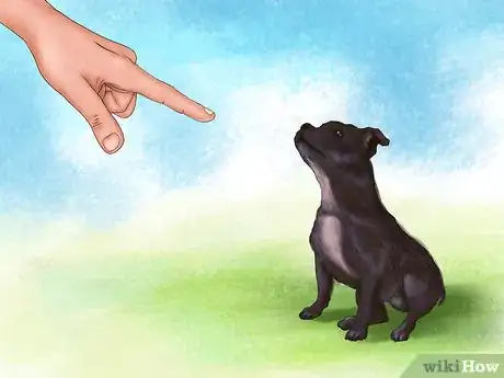 Image titled Keep a Pitbull Step 7