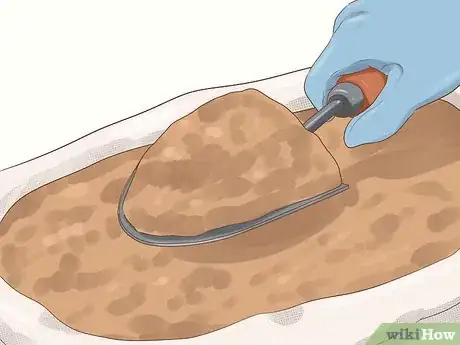 Image titled Grow Miniature Houseplants Step 1