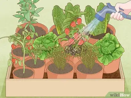 Image titled Garden During Coronavirus Step 18