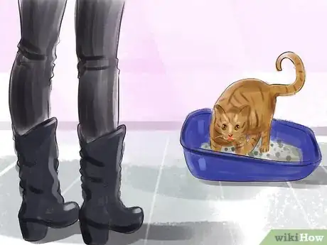 Image titled Take Care of a Pet Step 8