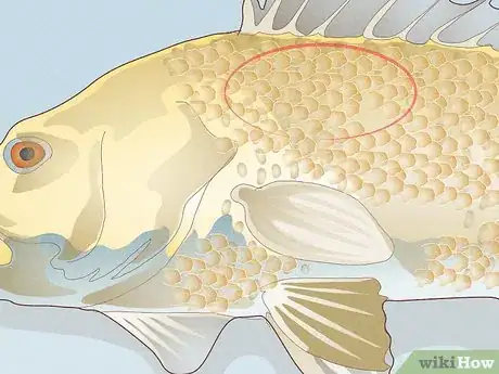 Image titled What Is the Main Ingredient in Mascara Step 6