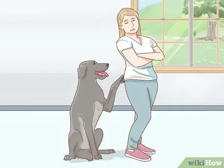 Image titled Stop a Dog from Pawing Step 4