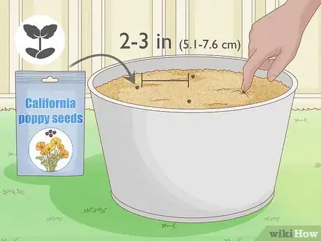 Image titled Grow California Poppies Step 4