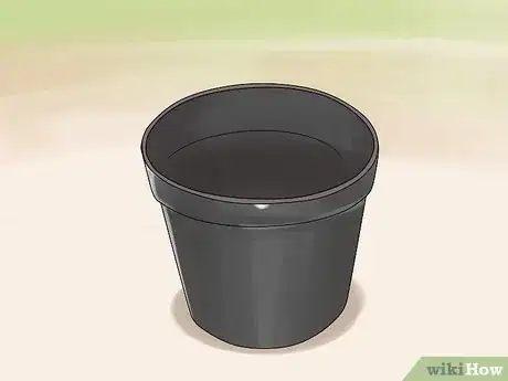 Image titled Grow Roses in Containers Step 2