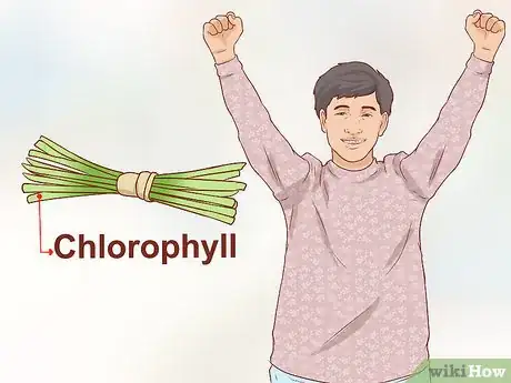 Image titled Gain the Health Benefits of Wheatgrass Step 10