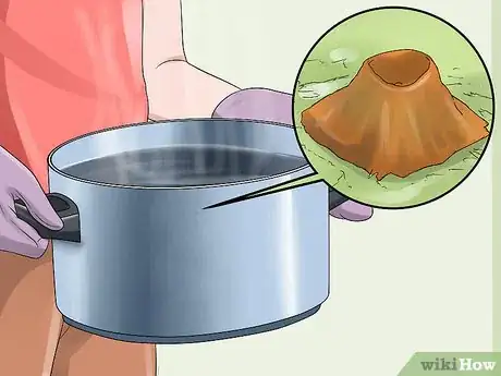 Image titled Remove Health Hazards from Your Backyard Step 11